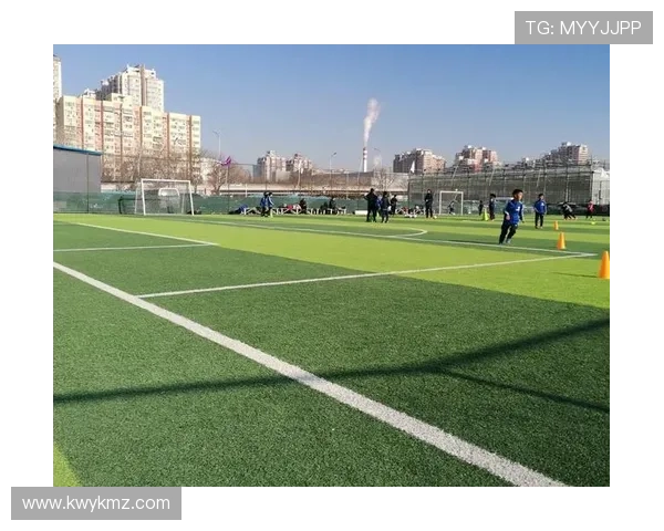 追逐梦想的绿茵场我的足球明星成长之路与心路历程